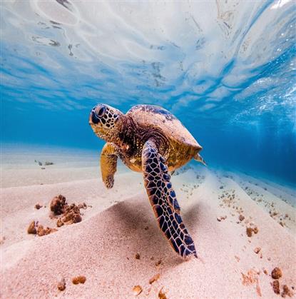 Prohlídky Marsa Alam